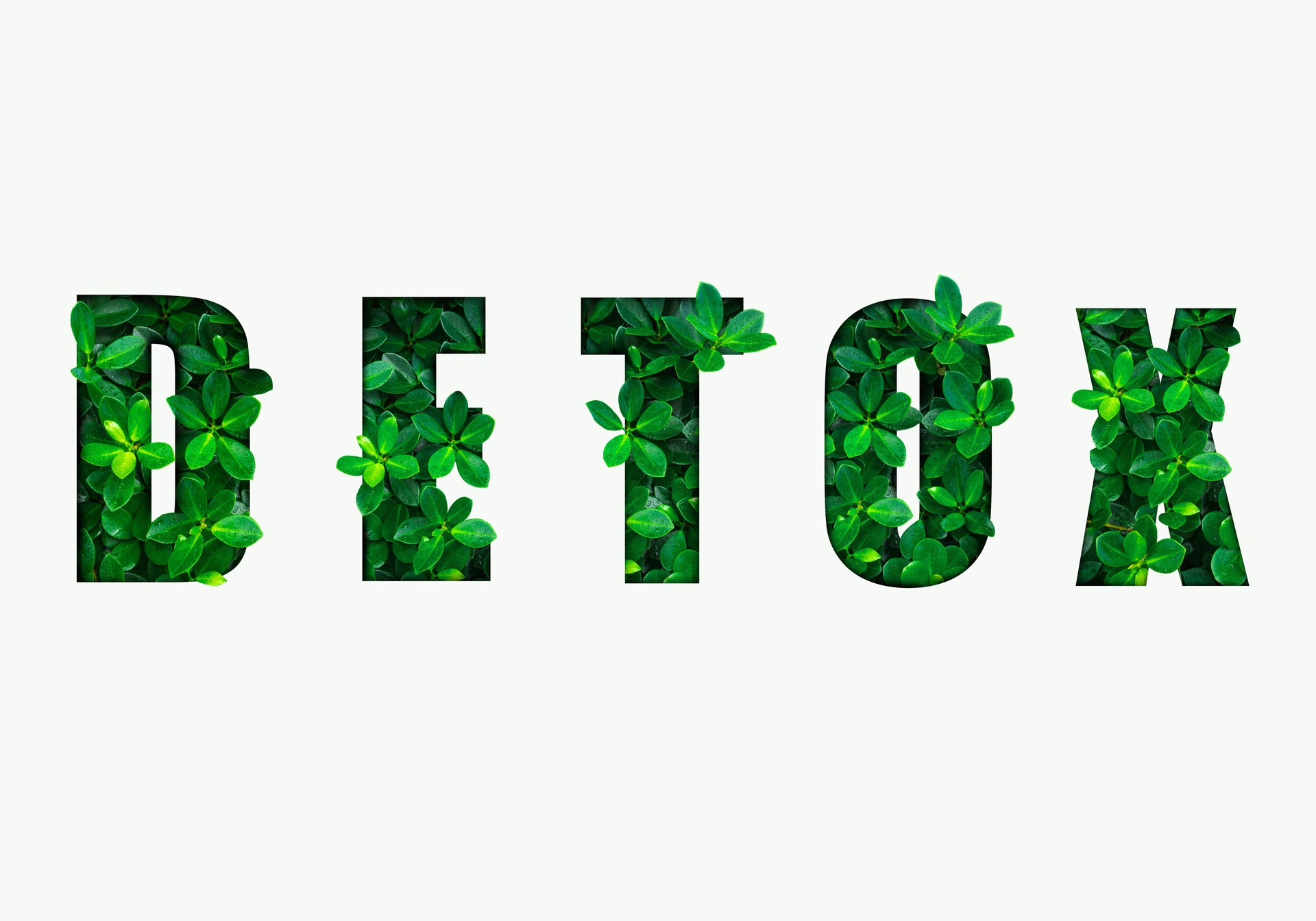 Word detox is made from green leaves. Concept of diet, cleansing the body, healthy eating, ditital detox